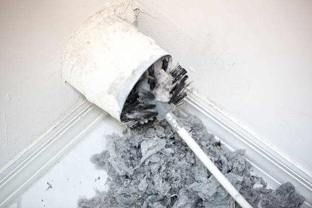 Professional Airduct Cleaning in Doctor Phillips, FL